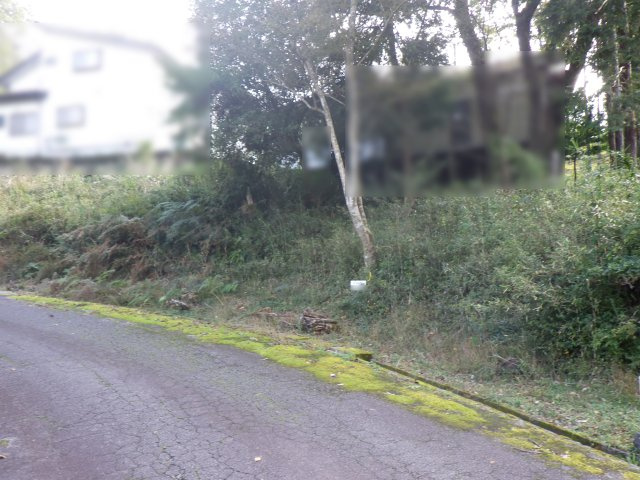 伊豆平パールタウン②の前面道路含む現地写真