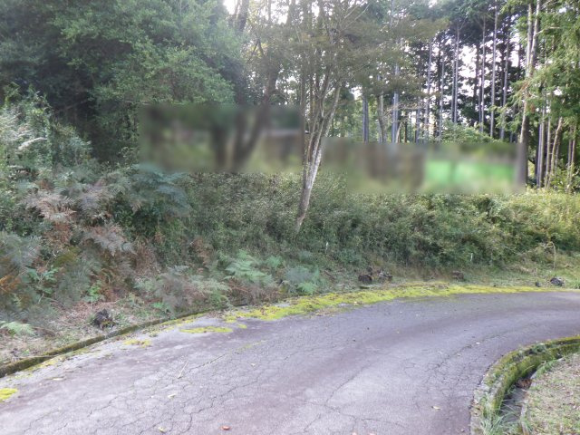 伊豆平パールタウン②の前面道路含む現地写真