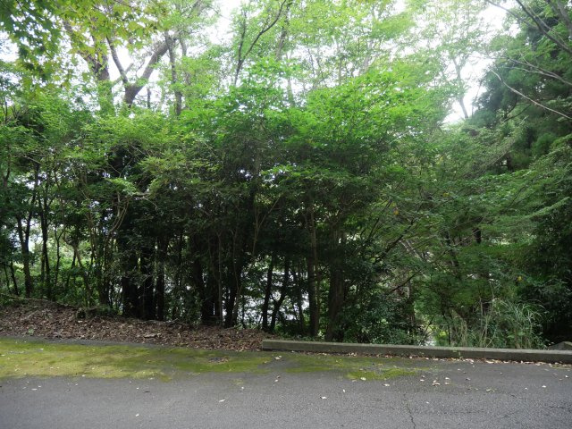 エンゼルフォレスト伊豆熱川④