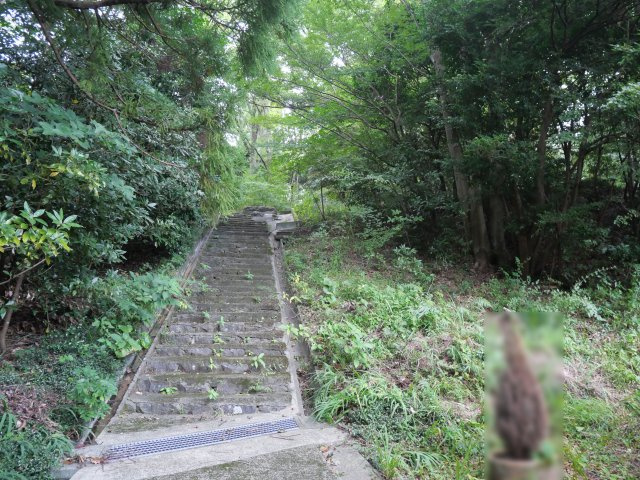 エンゼルフォレスト伊豆熱川④の外観