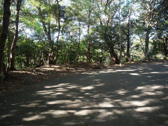 南伊豆マリンパーク①