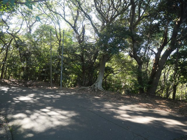 南伊豆マリンパーク①の前面道路含む現地写真