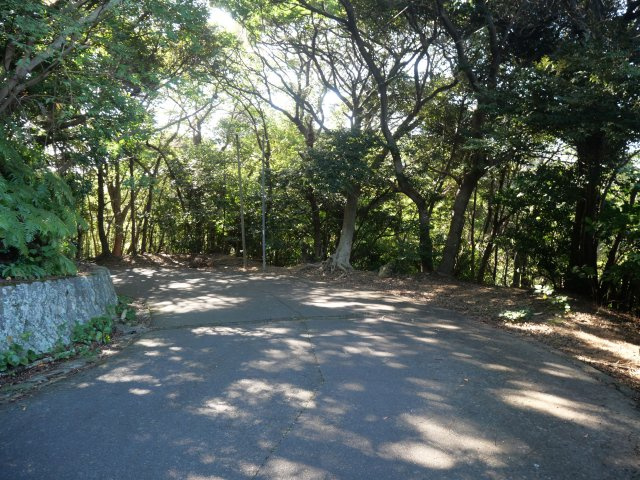 南伊豆マリンパーク①の前面道路含む現地写真