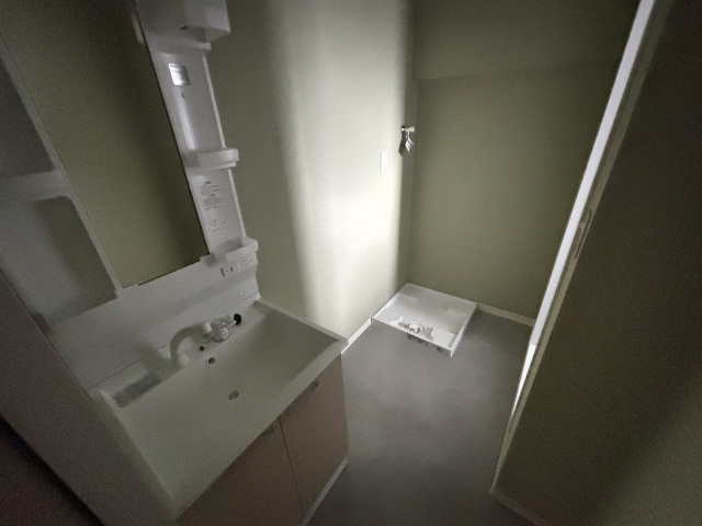 細田ビル（八木7）の洗面所