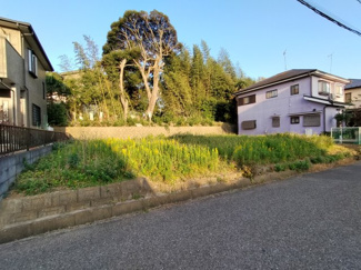 【外観】 | 八街市富山　土地　八街駅 | 通風日当たり通風良好です