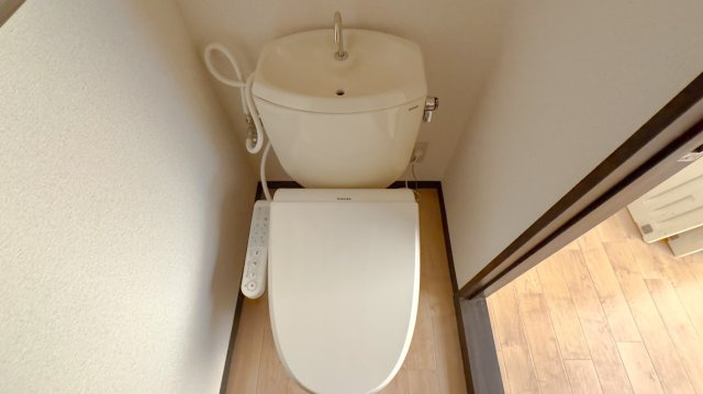 タウニィスズタカのトイレ