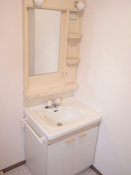 ウインズ今川の洗面所|他部屋参考写真