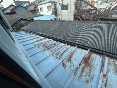 【展望】 | Re-Home天美南