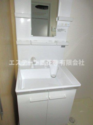 El alivio(エル・アルビオ） Ｄ棟の独立洗面台|シャワー付き洗面化粧台