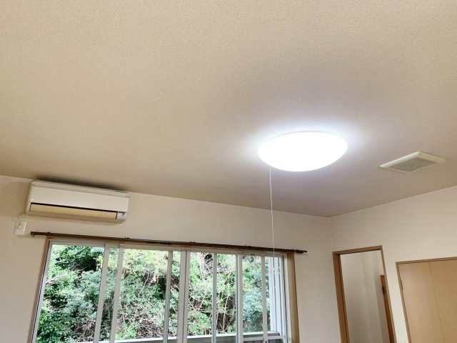 フィンのその他