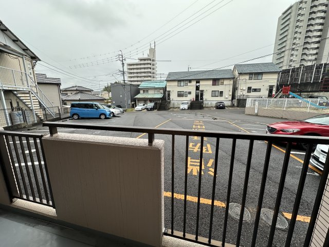 サフィニアMIの展望