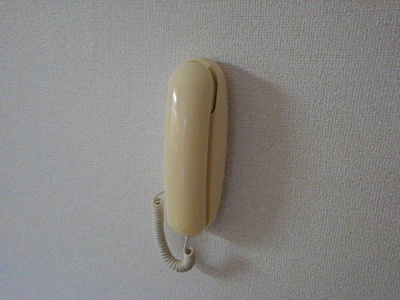 【セキュリティ】 | ラフィーネ２１