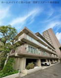 ハイムイワデの画像
