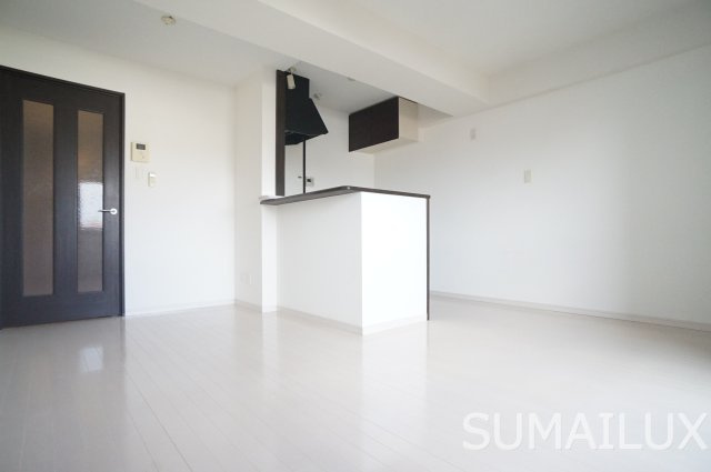熊本市中央区黒髪１丁目の賃貸マンションの居間・リビング