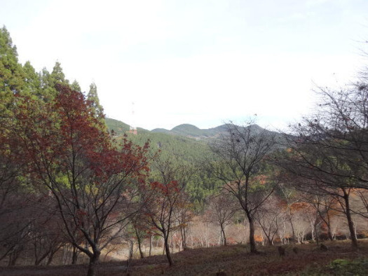 売土地　天竜区春野町堀之内のその他