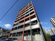 ラディナスティアの画像