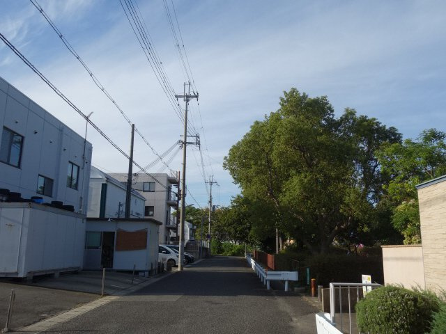 ブランシェ池上の展望