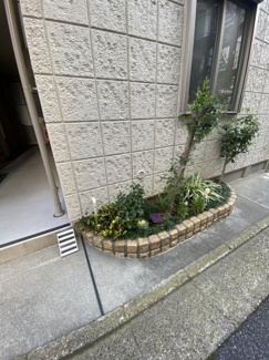 【周辺】 | 植栽もキレイです