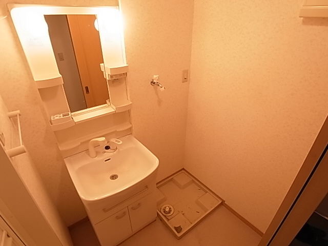 神戸市長田区水笠通４丁目の賃貸マンションの洗面所|シャンプードレッサー