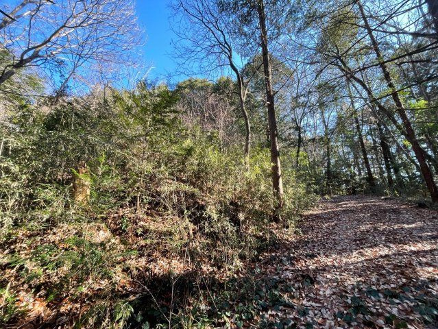 石岡市龍明　売地の外観