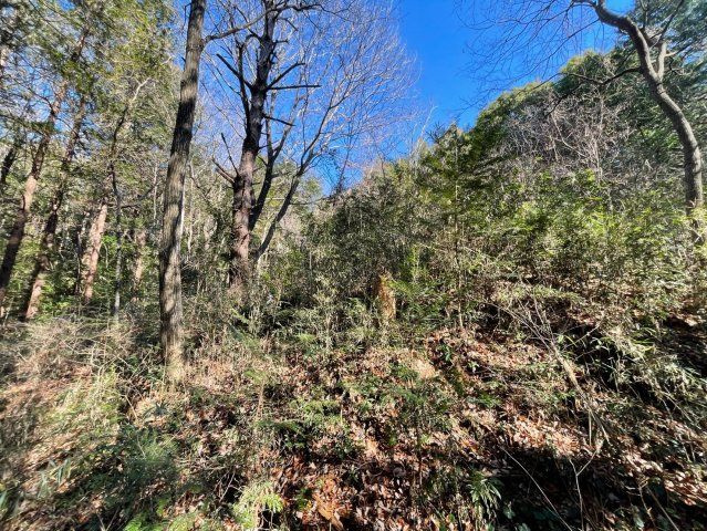 石岡市龍明　売地の外観