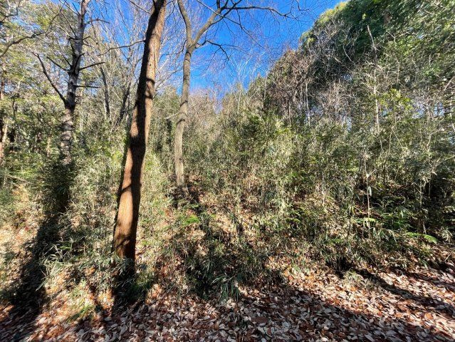 石岡市龍明　売地の外観