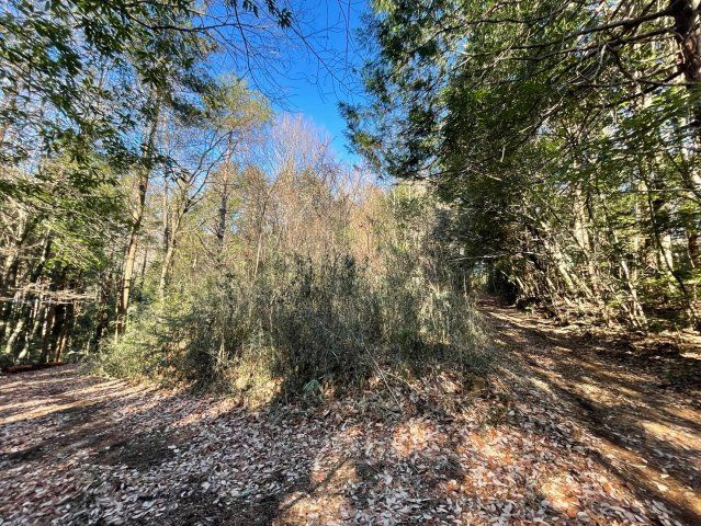 石岡市龍明　売地の外観