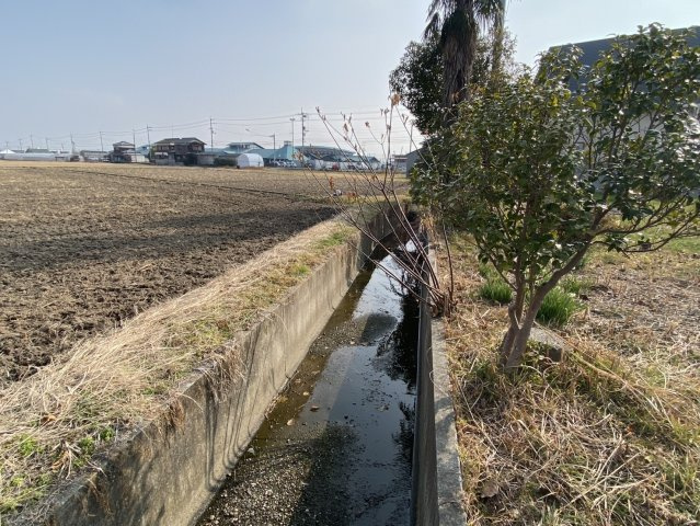 西条市石田485-1　売土地の周辺