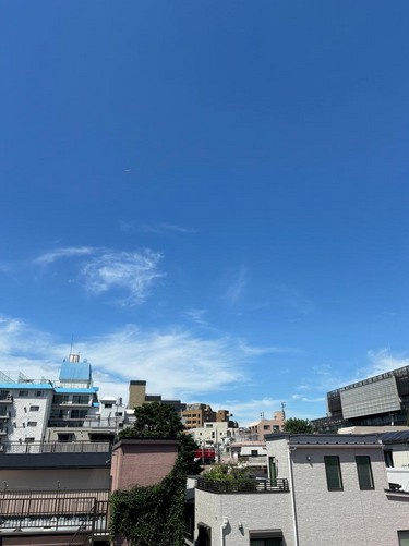 【展望】