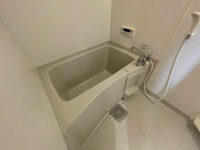 フローラ山の下の浴室