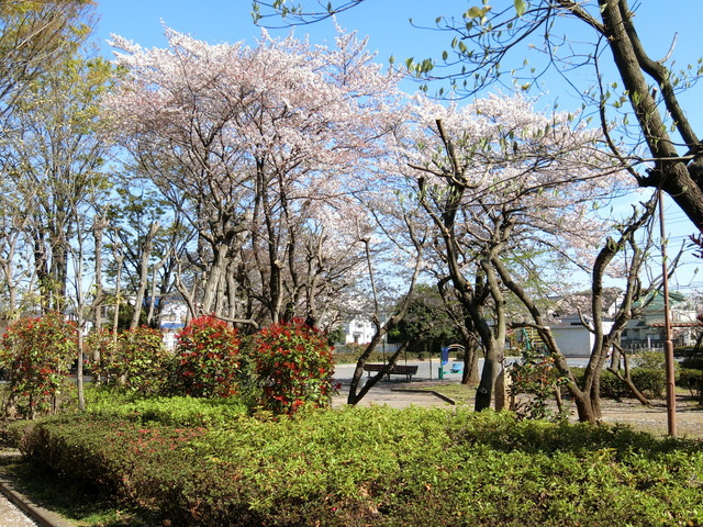 プロキオンのその他|砂川公園