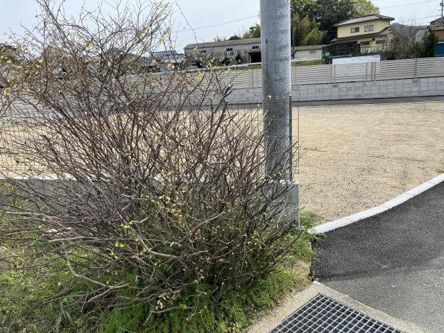 売土地　岡山県浅口郡里庄町里見の外観|北西側より。隣地通路、画像奥フェンス向こうは池となってます。遮蔽物ありませんので日当たり良い宅地です。