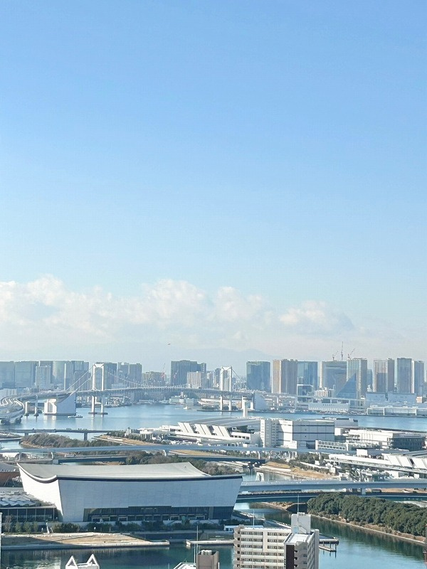 アップルタワー東京キャナルコートの展望