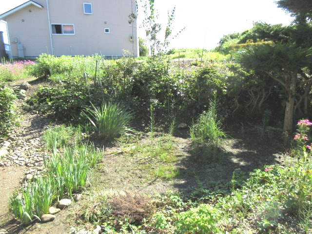 花巻市石神町　土地の外観|南側道路は2項道路でセットバックが必要ですが当該地より高い所にあります。
