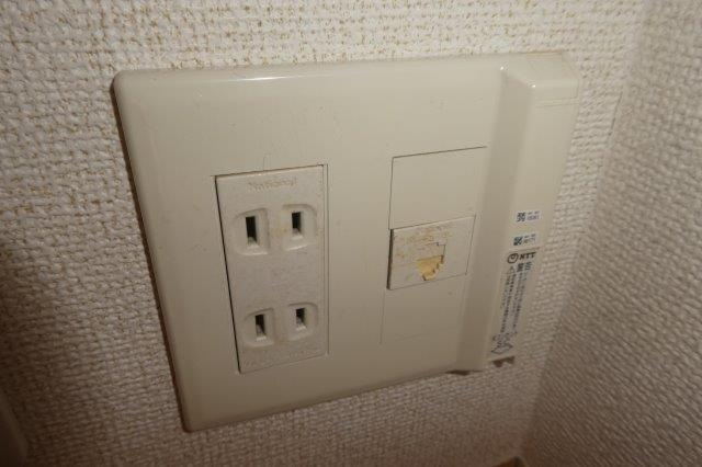 サニーローレルのその他