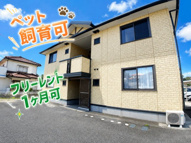 アルテールＡの画像