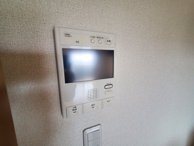 ティエラフェリスのセキュリティ