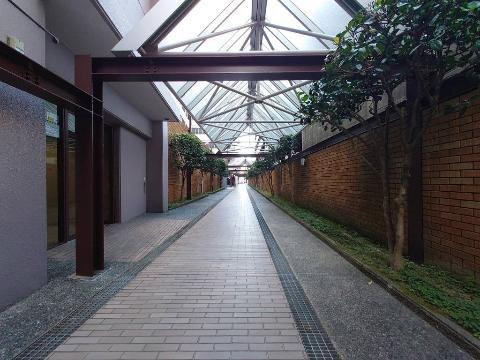 サンライフ香椎の庭|庭