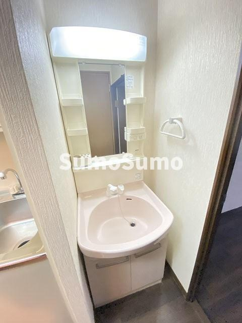 ステラハウス10の独立洗面台