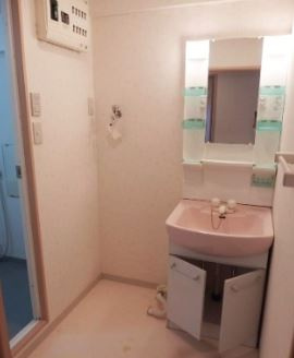 マリモⅡＢＬＤ（ビルディング）【キャッシュバック】の洗面所|スペースが確保できる洗面所です