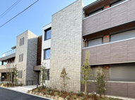 アリユサの画像