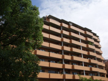 ユニーブル高野台北の画像