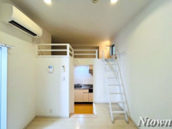 Mont cypresの画像