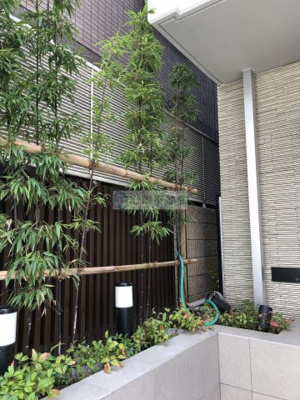 【その他】 | グラススペース