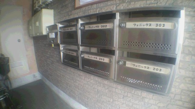  | フェニックス