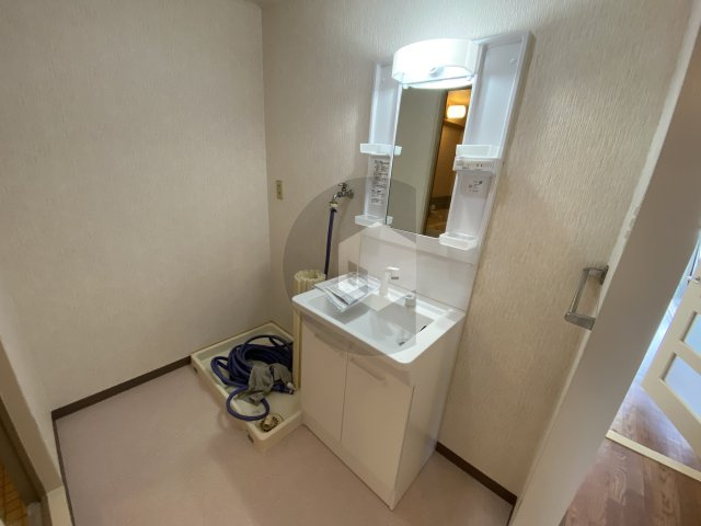 コーポおくだの洗面所
