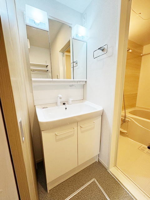 エリオンの洗面所