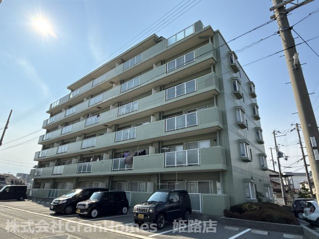 パインヒル・コーナン