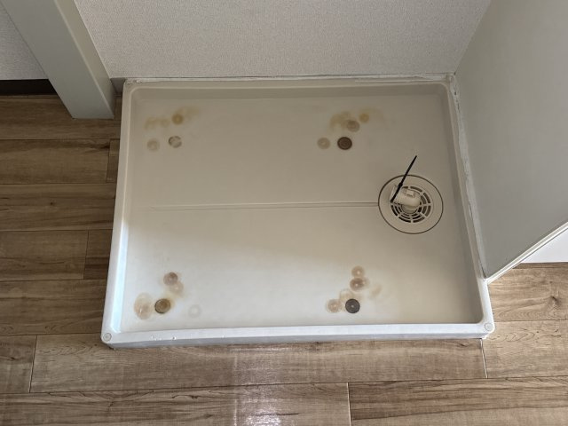 エクシブ津市場のその他