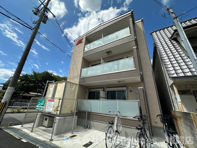 F　asecia iliaの外観